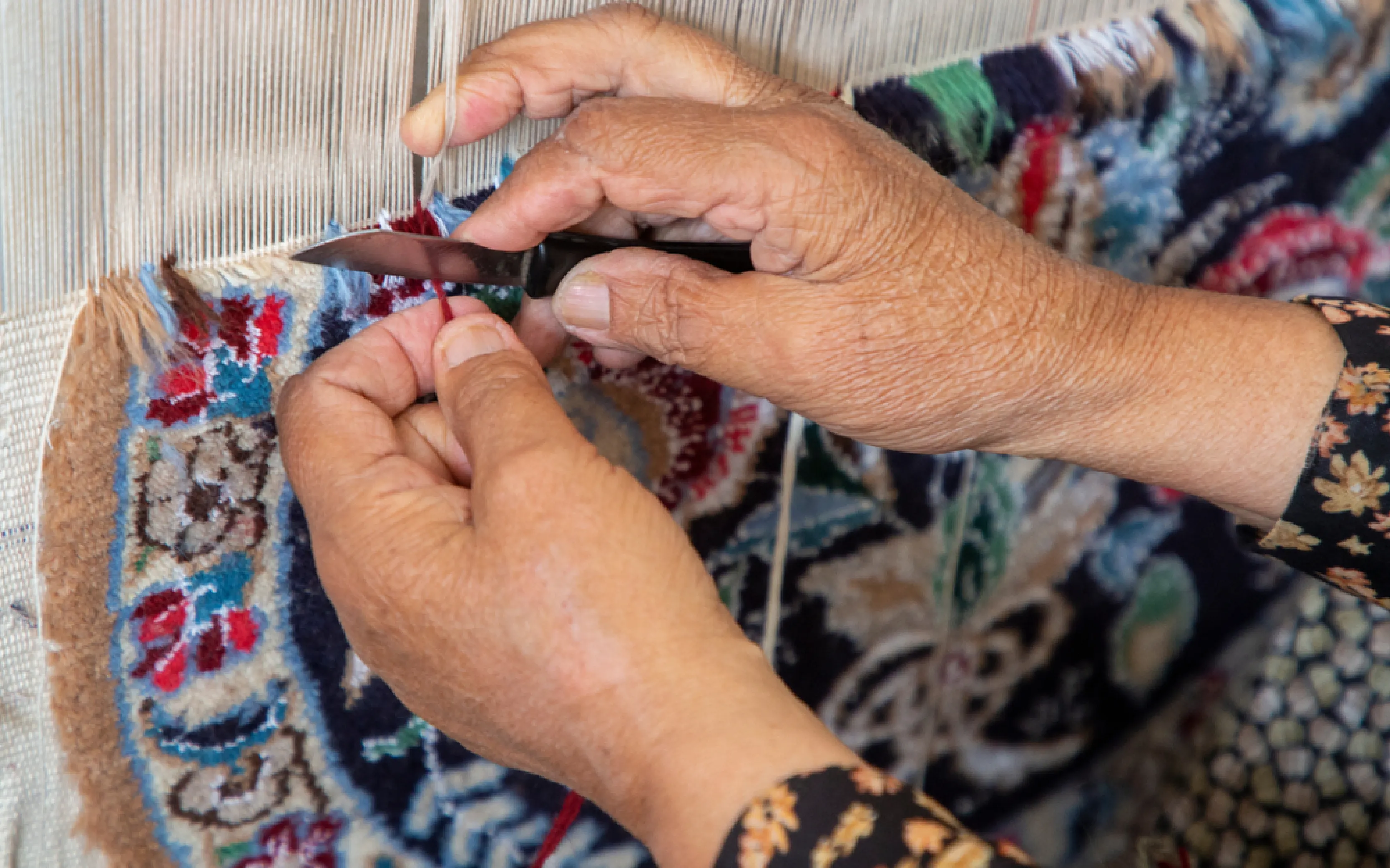 carpet cleaning in new york, carpet cleaning new york, carpet cleaners in new york, carpet cleaners in new york, commercial carpet cleaning, commercial carpet cleaning in new york, new york rug cleaners, rug cleaning services in new york, same day carpet cleaning, same day rug cleaning in new york