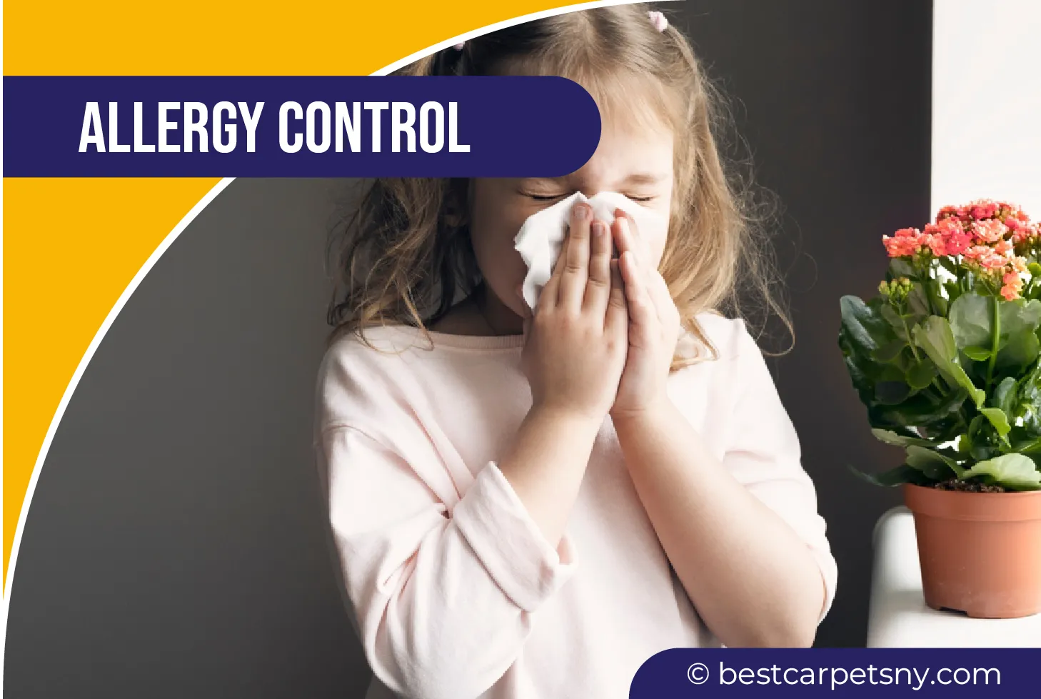 carpet cleaning in new york, carpet cleaning new york, carpet cleaners in new york, carpet cleaners in new york, commercial carpet cleaning, commercial carpet cleaning in new york, new york rug cleaners, rug cleaning services in new york, same day carpet cleaning, same day rug cleaning in new york